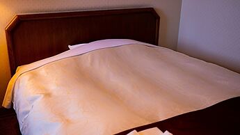 Hachinohe Plaza Hotel