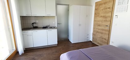 Domovoj Apartments and Rooms