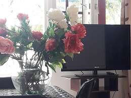 Palmita Hotel Hostel