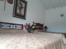 Palmita Hotel Hostel