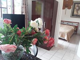 Palmita Hotel Hostel