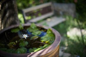 Churaya -Yaedake with Japanese Garden-