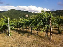 Agriturismo Vinci
