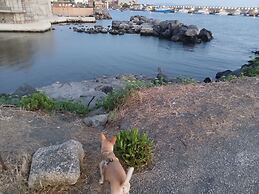 L'Acchiappasogni Vesuviano