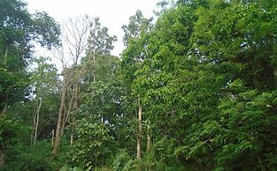 Bee Line Home Stay