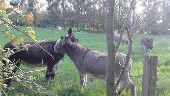 Trois Etots