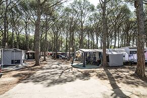 Camping Neptuno