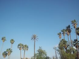Riad Taroudant Palmiers