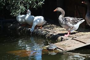 Posada Rural Spa Granja La Tejera de Lozoya