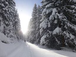 Alpine Apartment With Stunning Views