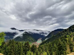 Uzungol Yesil Kosk Hotel