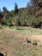 Cabañas El Rincón De La Paito La Placeta