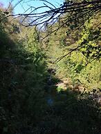 Cabañas El Rincón De La Paito La Placeta