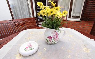 Apartments Villa Lucu