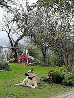 Panorama B&B