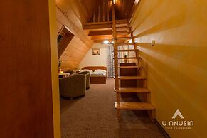 Willa u Anusia Jacuzzi & Sauna