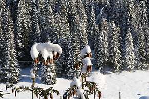 Hotel Mallnitz Appartements