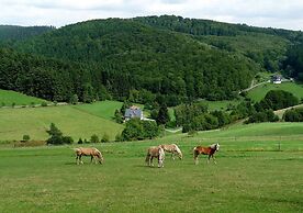 Ferienhaus & Nurdachhaus Rothaargebirge