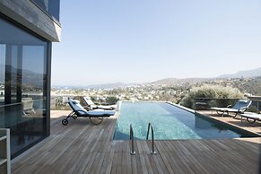 Vhillas Private Luxury Villa Turkbuku