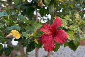 Bungalow Blue Waters by Amy Villas