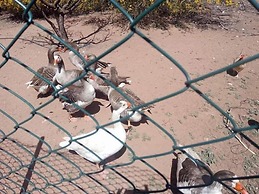 Dar El Yasmine Biougra