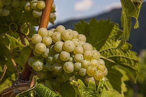 Landgasthof Winzerscheune