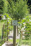 Le Prieure des Fontaines