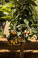 Boutique Hotel Ibizazen