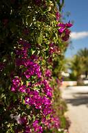 Boutique Hotel Ibizazen