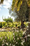 Boutique Hotel Ibizazen