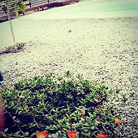 El Bodegón hostal boutique - Adults Only