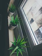 Comfortable serviced flat in London City Centre