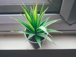 Comfortable serviced flat in London City Centre