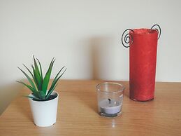 Comfortable serviced flat in London City Centre