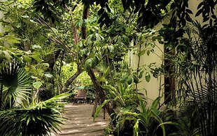 Jungle Keva Tulum Villa/Lodges & Venue