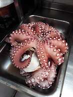 Alacati Butik Otelim