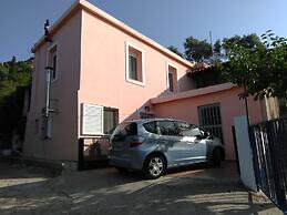 Garden Of Olive Trees