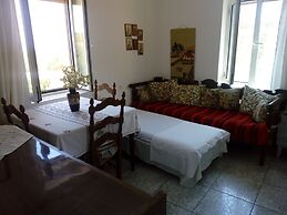 Garden Of Olive Trees