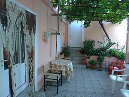 Garden Of Olive Trees