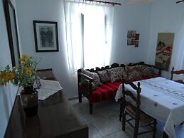 Garden Of Olive Trees