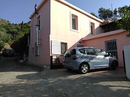 Garden Of Olive Trees