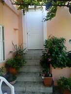 Garden Of Olive Trees