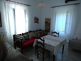 Garden Of Olive Trees