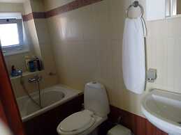 Garden Of Olive Trees