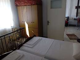 Garden Of Olive Trees