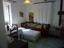 Garden Of Olive Trees