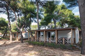 Amadria Park Camping Mobile Homes