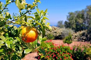 Villa Amelia by Amy Villas