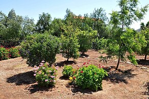 Villa Amelia by Amy Villas