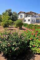 Villa Amelia by Amy Villas